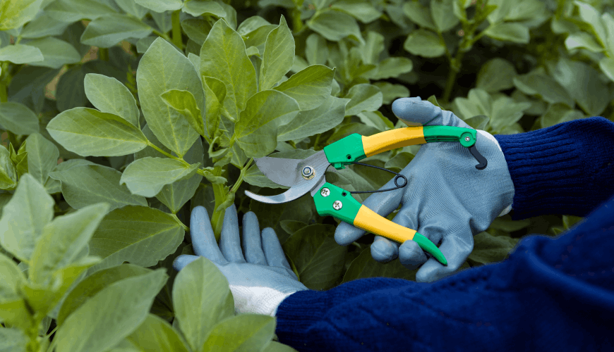 Large Scale Landscaping