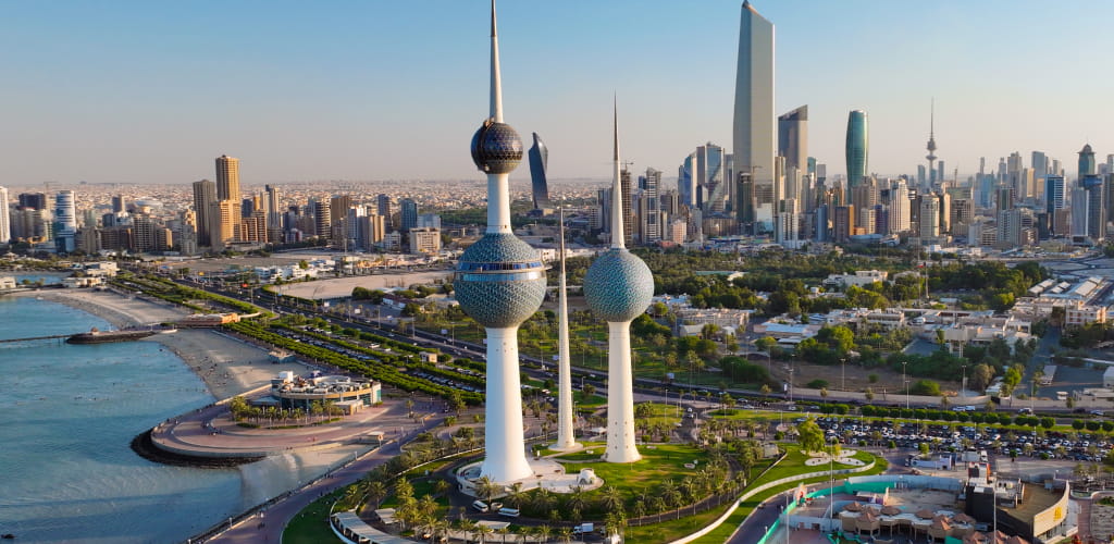 Cleaning Professional