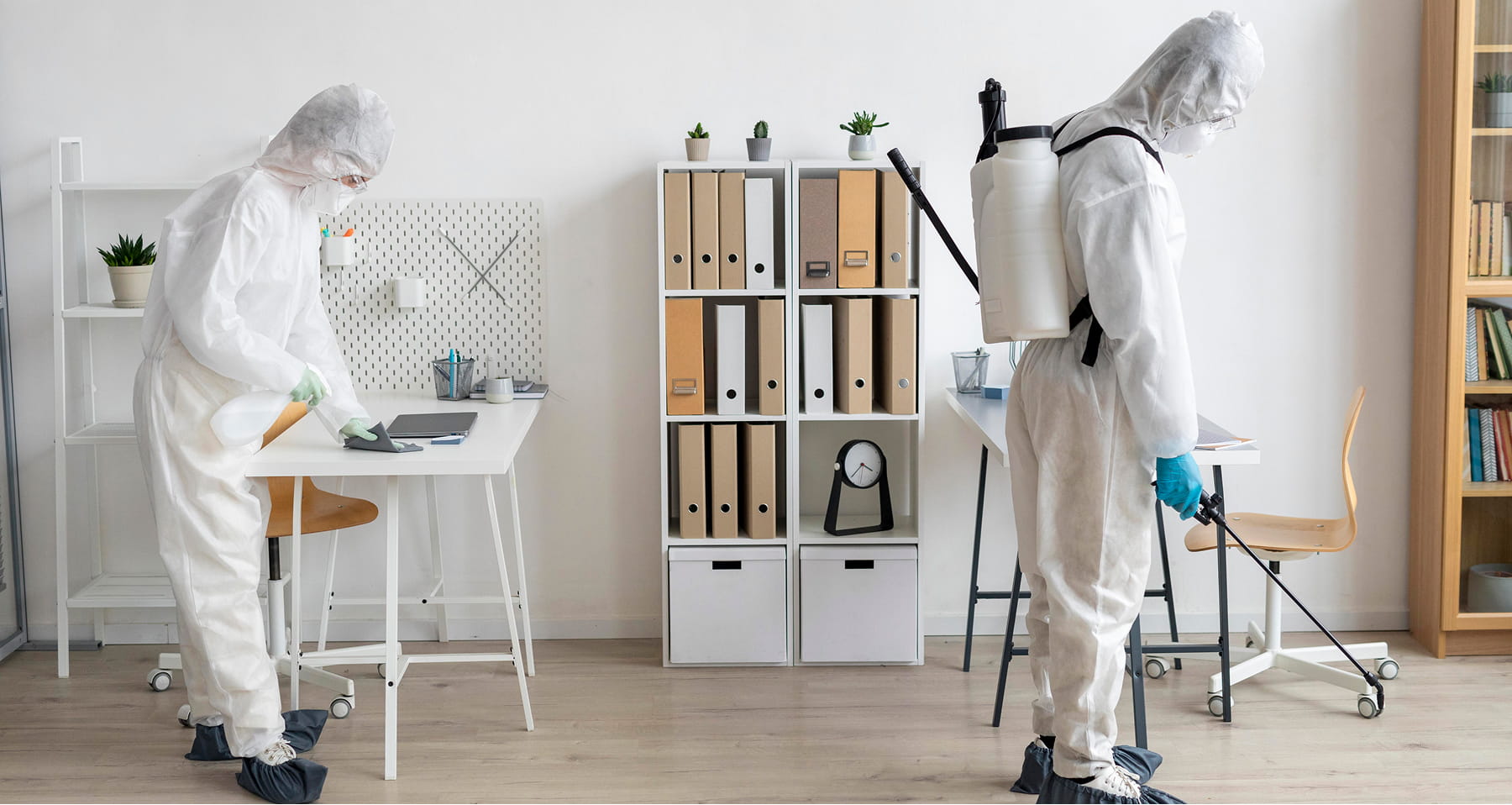 Eco-Friendly Pest Control